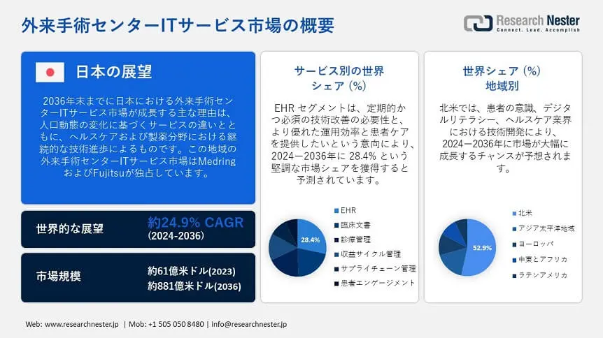 Ambulatory Surgical Centers IT Services Market Overview